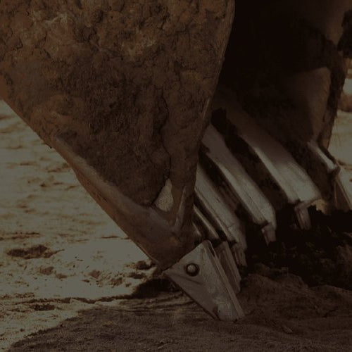 Bucket Teeth Basics: What You Should Know