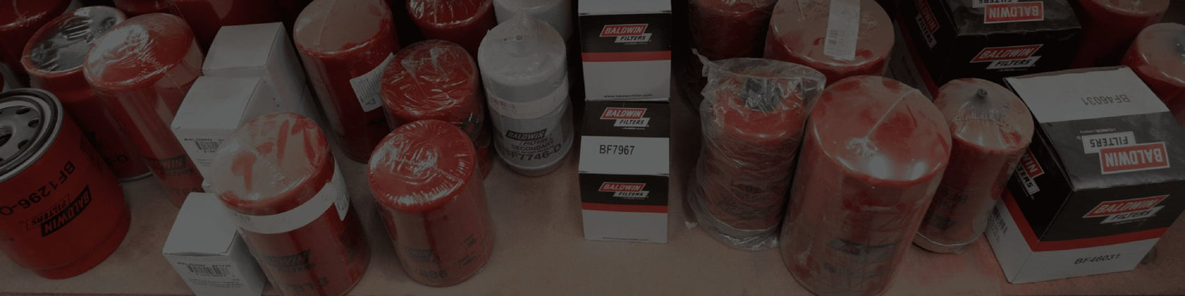 Fuel Filters vs Oil Filters: What's the Difference?