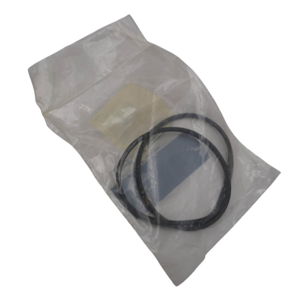 Genie O-Ring 1273945GT