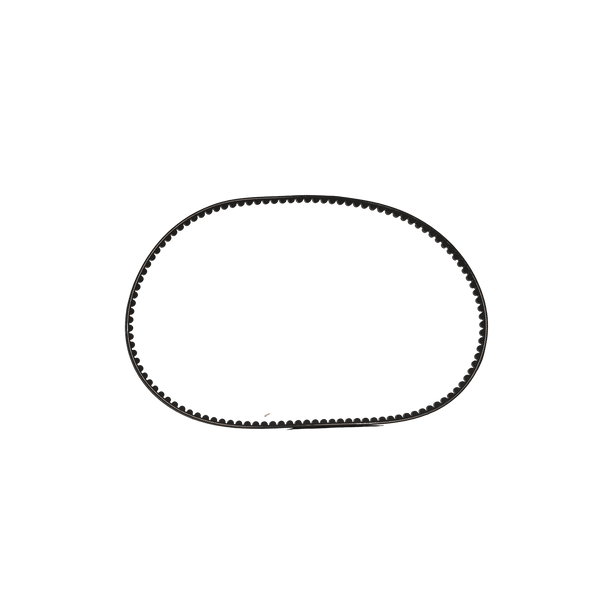 C.I LOGO ICON Embroidery Belt #FR2 LOGO ICON Embroidery Belt