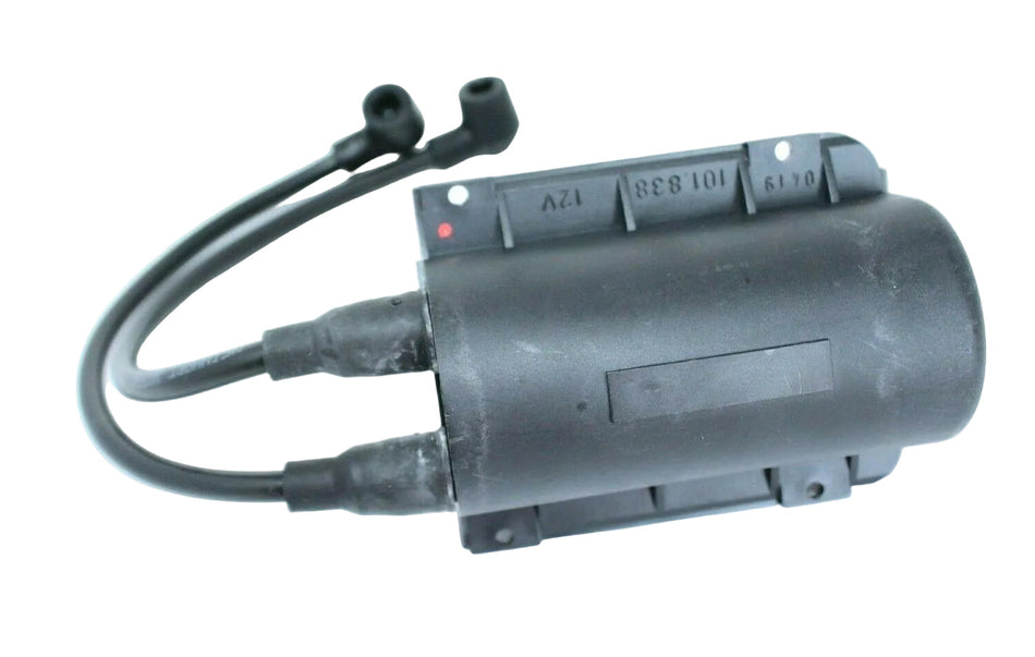 Webasto Electronic Ignition Unit 12v for DBW2010 Scholastic 101838