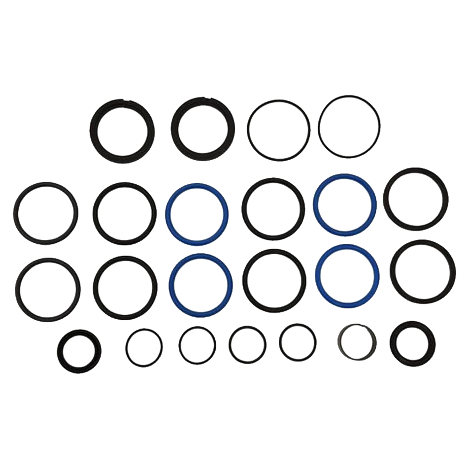 JLG Seal Kit 2901303