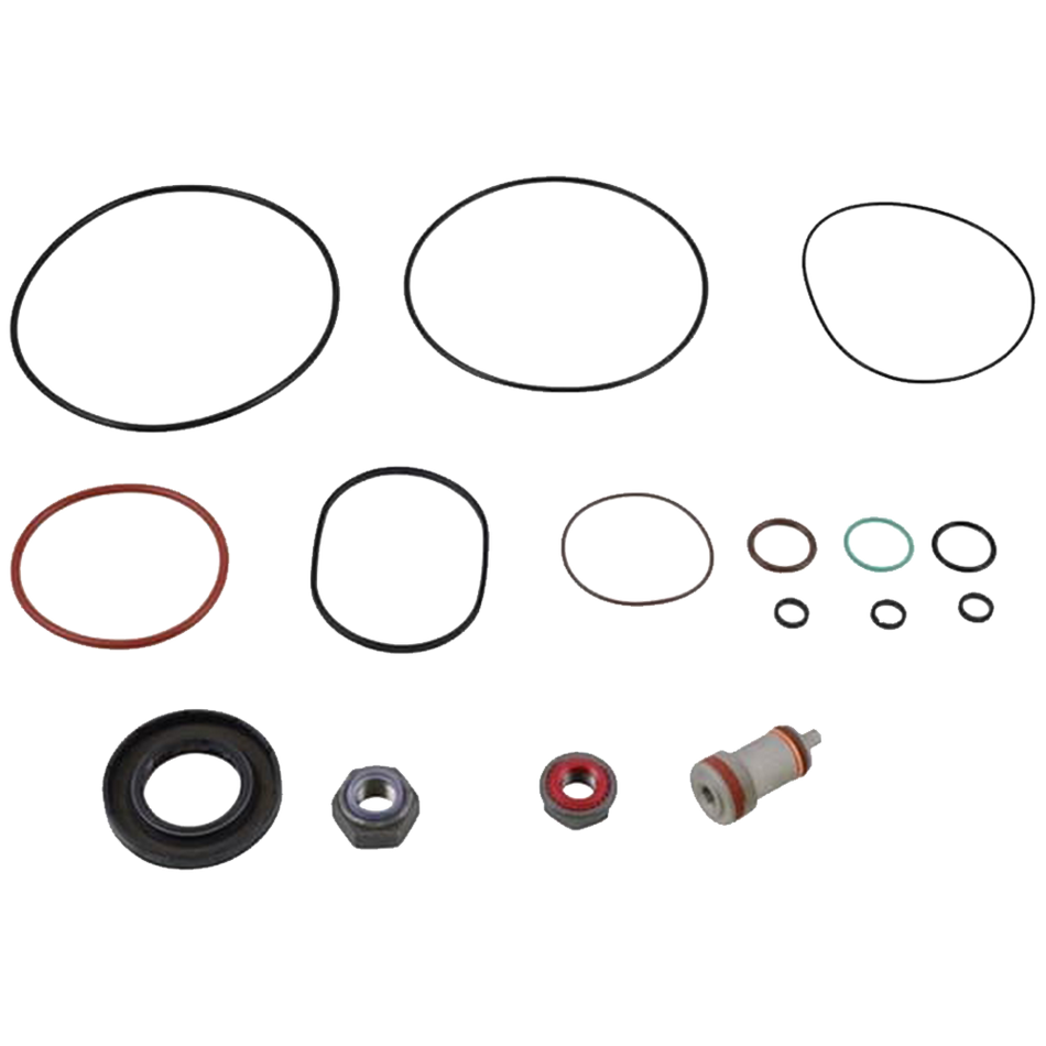 JLG Overhaul Seal Kit 7023967