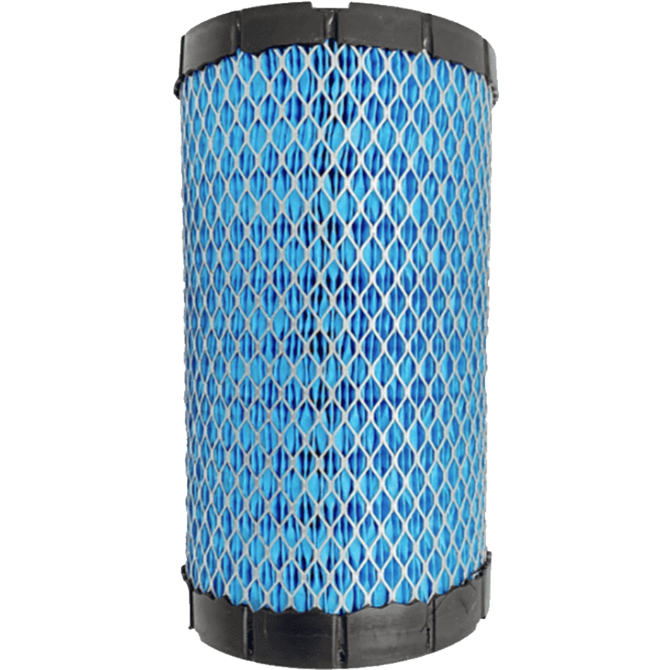 Polaris Air Filter 7082265