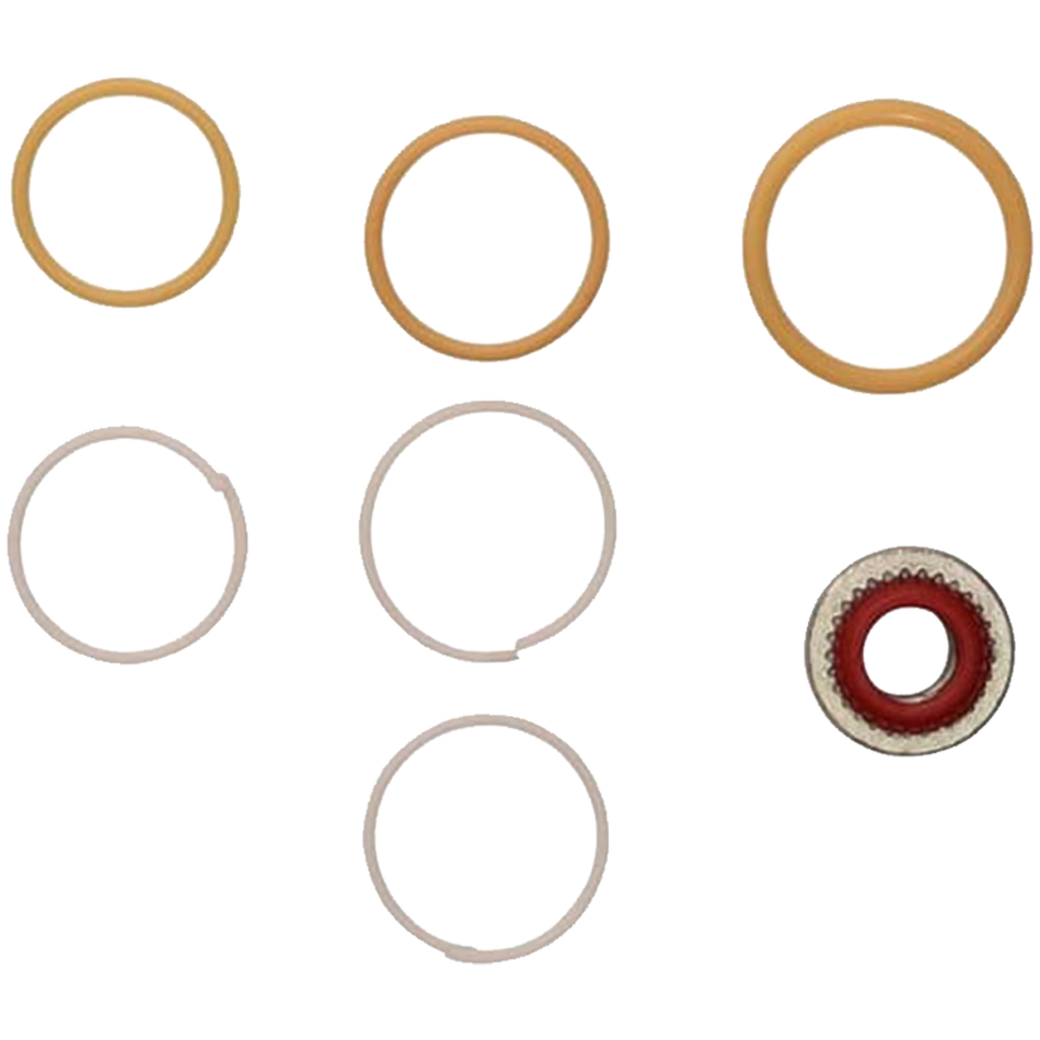 JLG Seal Kit Cartridge 91404382