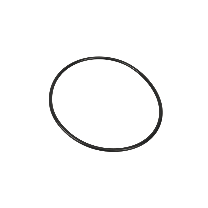 Sany O-Ring B230101000588