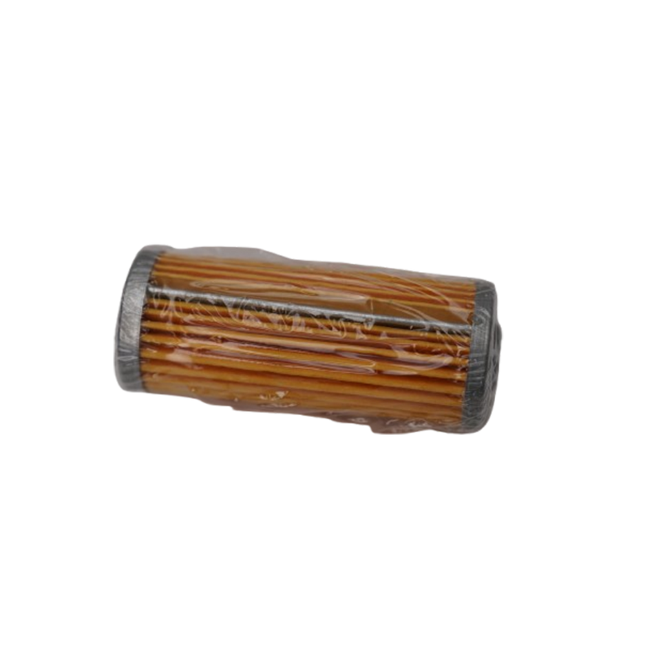 Fuel Filter Cartridge P502166DFS