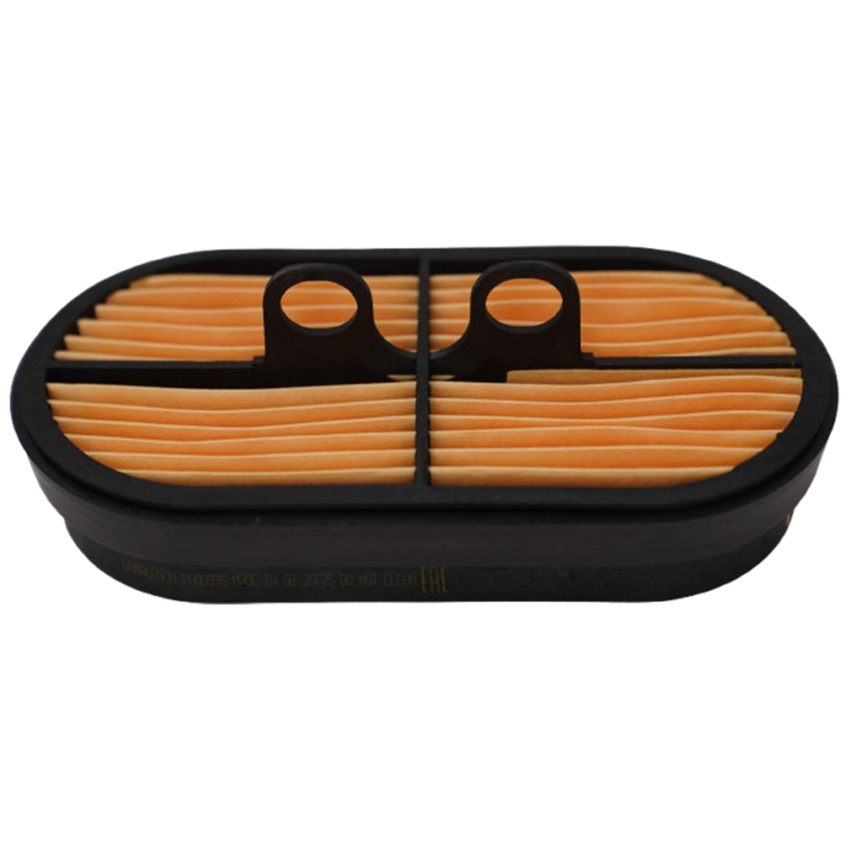 Air Filter TSA/BCP600975