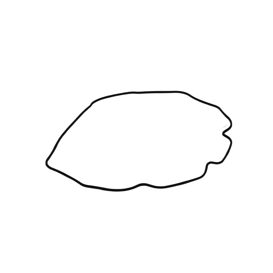 Takeuchi Bonnet Gasket Y129004-11310