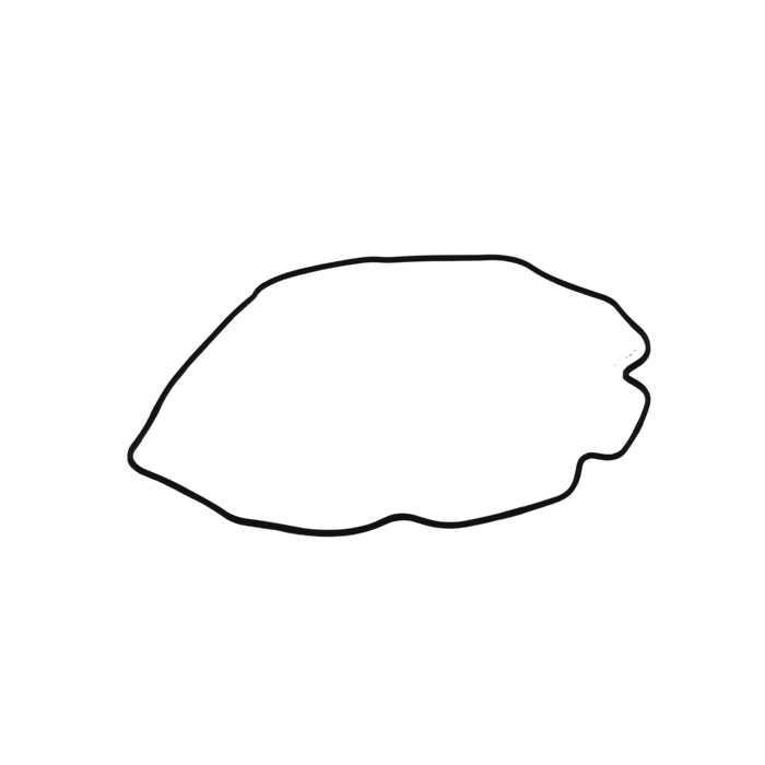 Takeuchi Bonnet Gasket Y129004-11310