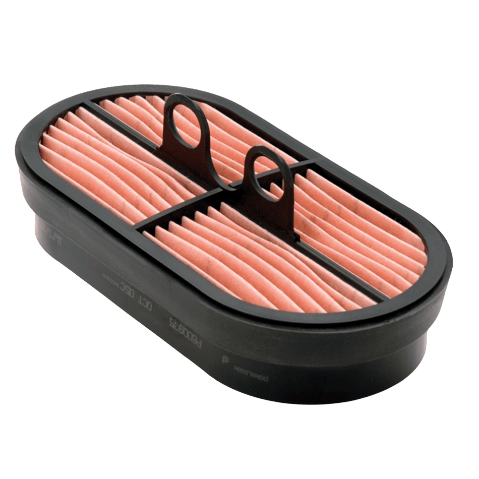 Donaldson Safety Air Filter P600975