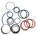 Wacker Neuson Cylinder Seal Kit 1000124296 - MPN: 1000124296