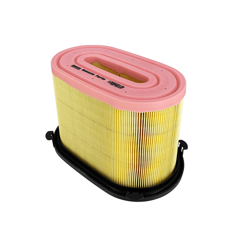 Genie Filter, Air 1256219GT - MPN: 1256219