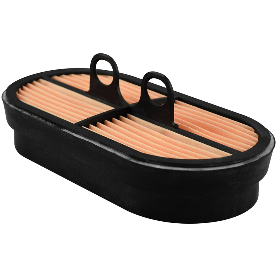 Baldwin Air Filter PA5451