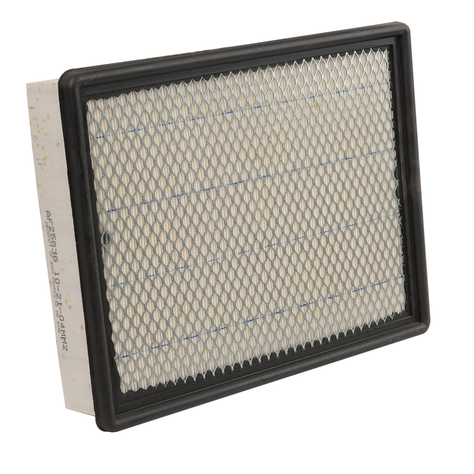 Fleetguard Filter AF25636